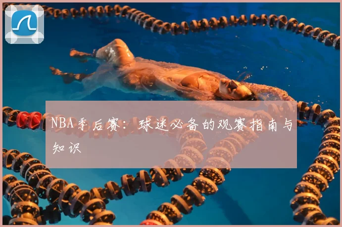 NBA季后赛：球迷必备的观赛指南与知识
